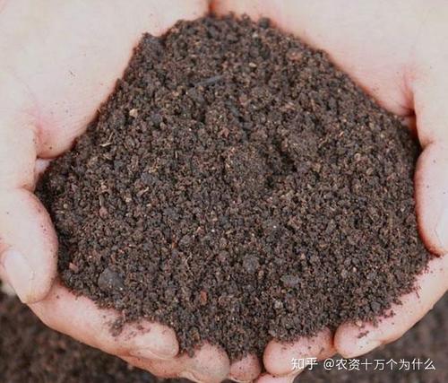 ��ֳ����ϵ�������ʲô����(y��ng)ԓ���ʹ�ã�