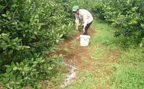 �𻨘䑪(y��ng)ԓ��ʲô�r(sh��)��ʩ�ʣ����ʩ�ʣ�