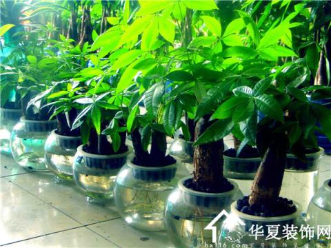 ˮ�໨�ܑ�ԓ���ʩ�ʣ���Ҫע��ʲô��