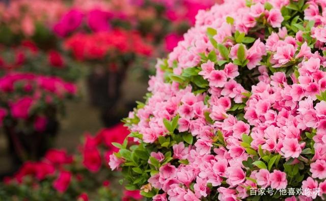 ���������������ʣ���׷���з�����