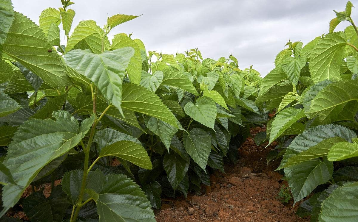 ɣ���������c��ʲô����Ҫ�߮a��ԓ���ʩ�ʣ�