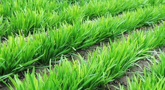 �Nֲ�²ˑ�ԓ���׷�ʣ���Ҫע��ʲô��