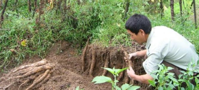 ɽˎʲô�r��׷�ʱ��^�ã���Ҫ�߮a��ԓ���ʩ�ʣ�