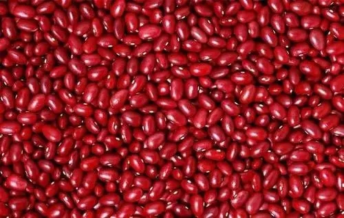 �t��ʲô�r(sh��)�g�Nֲ���t���Nֲ��������Щ��