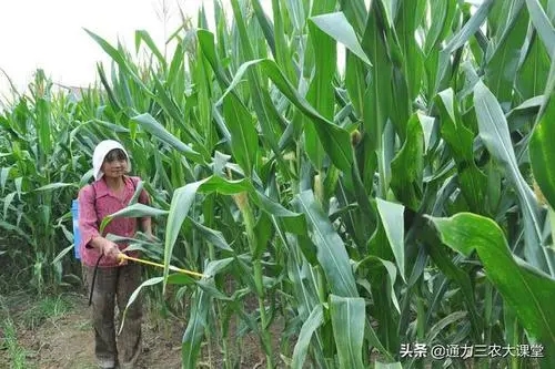 ������Ҫ�߮a��ԓ���ʩ�ʣ���ʲô�~��ʣ�