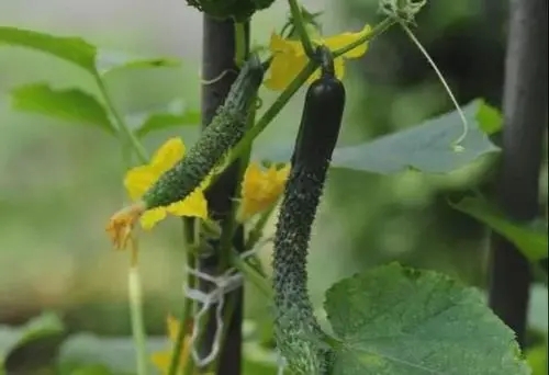 �����S�ϑ�ԓ���׷�ʣ���Ҫע��ʲô��