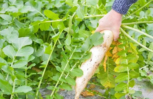 �����}�������@���N�ʣ�һ��Ҫ����!