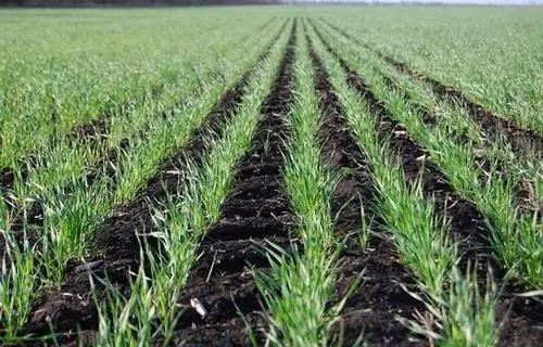 �NֲС����Ҫ��ʲô���ϣ����ʹ�ã�