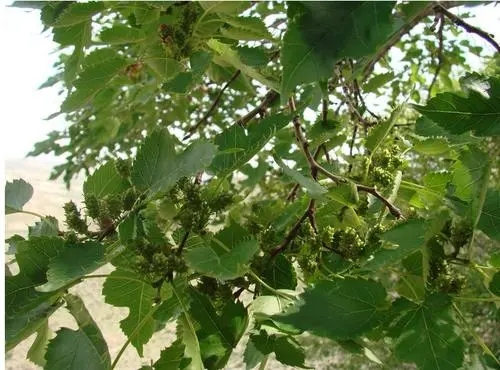 ɣ���������c��ʲô����(y��ng)ԓ���ʩ�ʣ�