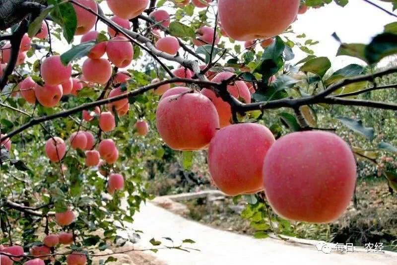 2021���ﶬ���O���ƌWʩ�ʼ��g��Ҋ