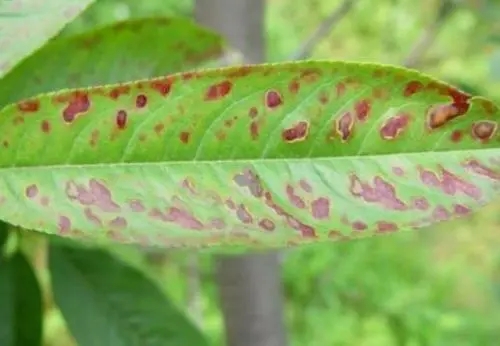 �Ҙ�ʲô�r��ʩ�ʺã��Ҵ��ײ���η���