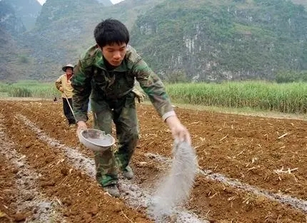 ���Ϸ�Ч�Ƕ�ã����ʩ�ʵķ�ʽ��