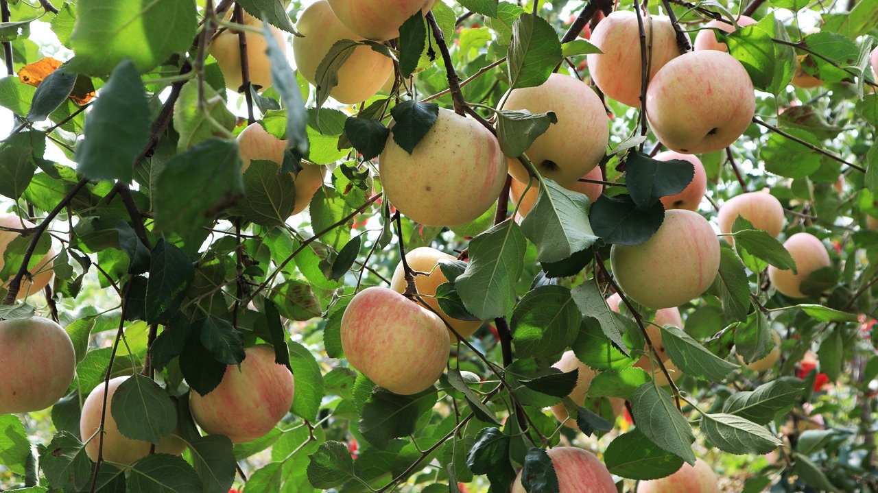 �O����ɫ��ע����Щ���أ��O���Nֲ�������g��