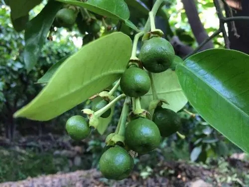 ��������ʩ�ò���(d��ng)Σ����ʲô��������_ʩ������