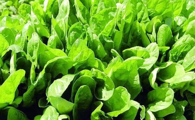 Խ���������ʩ�ʵģ���ԓע����Щ���}��