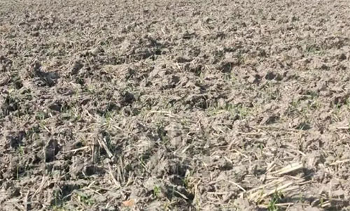 ���ա����C��С����ǰ���紺���gԓ��ι�����Ҫ�cȫ���@���ˣ�