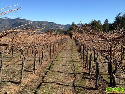 �����������ӷNֲ�����������Ѯa��