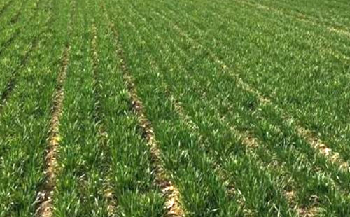 ����ʡ2022��С������ʩ��ָ��(d��o)��Ҋ(ji��n)���_(t��i)��