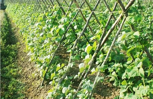 �������ʩ�ʣ�����ʩ�ʵķ�����ʲô��