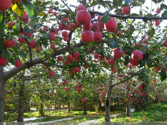 �O���@����M�з�ˮ������ԓע����Щ���}��