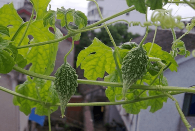 �������ʩ�ô�ѿ�ʣ����Ѵ�ѿʩ��ԭ�t��