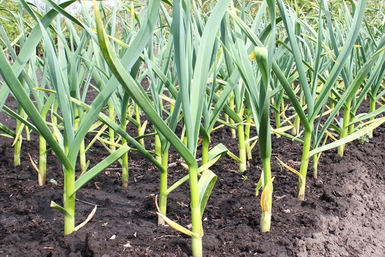 �������׷��������׷�ʕr�g��ʲô�r��