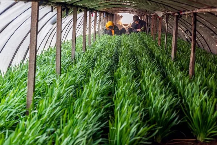 �²˵�������c��ʲô����νo�²�ʩ�ʣ�