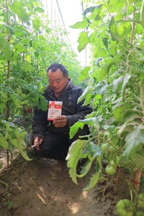 �������Nֲ��ײˌ��h������ЩҪ��