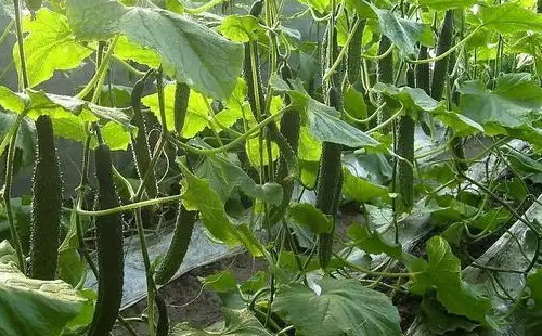 �S��ʩ���@4���`�^һ��Ҫ���_����ҕ�����[����