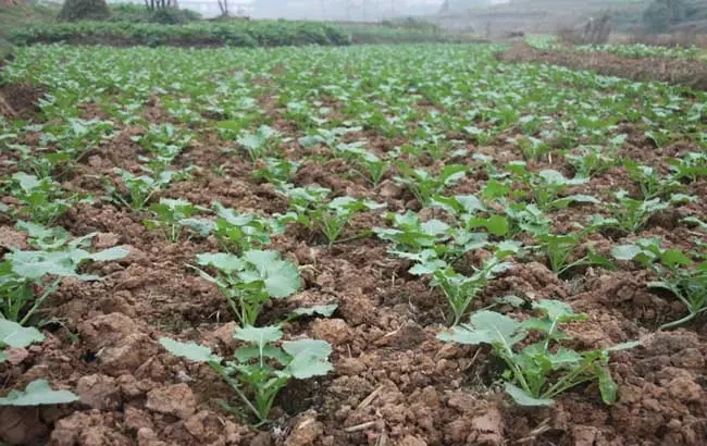 �Ͳ���·�ʩ��ʣ��Ͳ�ʩ���ע����헣�