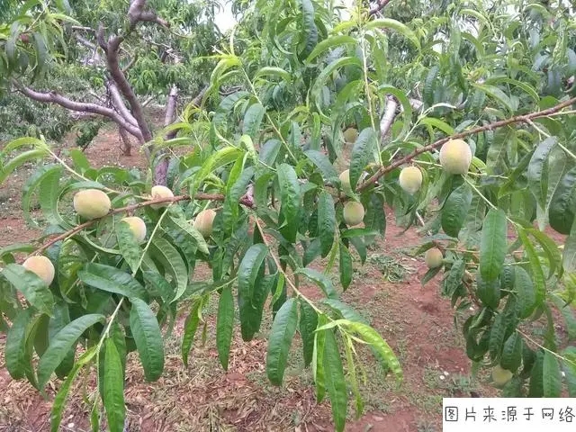 �Ҙ䲻�Y����ʲôԭ������ģ�ԓ��ô�k��