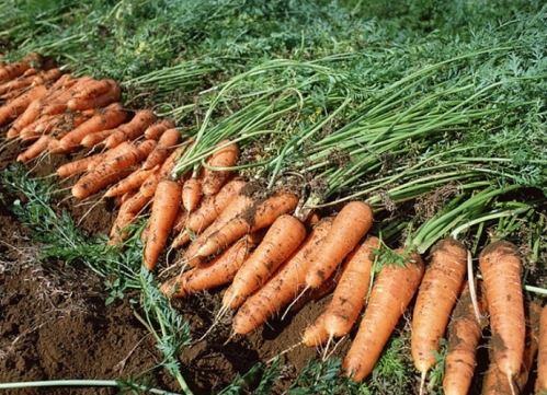 ���}�����ʩ�ʣ����}����߮a(ch��n)��ʩ�ʼ��g