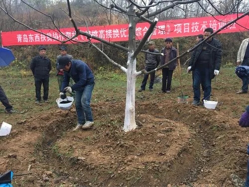 ���Ҙ�����ʩ�������Ҙ��ʩ�ʷ�����ʲô��