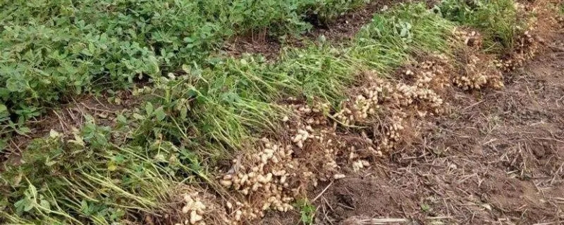 �������ʩ���ʺͷN����������׷�ʼ��g(sh��)��