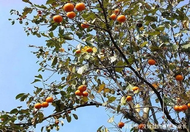 ���Ә����ʩ�ʣ����Ә�����Ҏ(gu��)����ʲô��