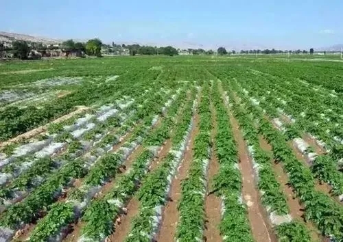 �R�����ͬ���L�ڵ�������c���R���ʩ��Ҫ�c��