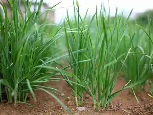 �²����ʩ���ʣ��²�׷�ʺΕr׷��