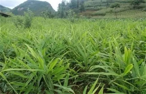 �������ʩ΢�ʣ�����΢���������a�᣿