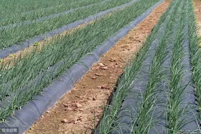 ����ʲô�r�gʩ�ʣ�����ʩ�ʷ�����ʲô��