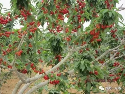 ���ҷNֲ���ʩ�������Ҹ߮aʩ�ʼ��g��