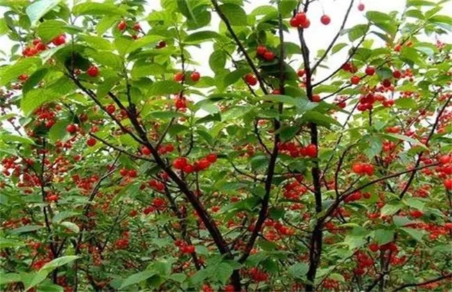 �������ʩ��������ʩ�ʹ������g��