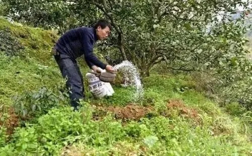 �����_����ԓ���ʩ�ʣ�����ʩ�ʼ��g(sh��)��