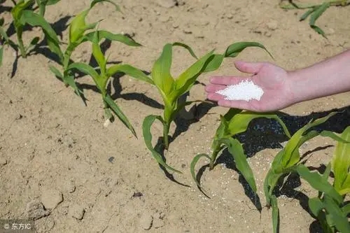 ����׷�ʏͺϷʺ�߀�����غ����ܶ��˶��e�������������_�x��