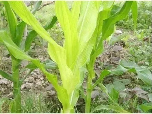 ����ȱ�\����ЩΣ����ԓ����a�\��һ���f�����