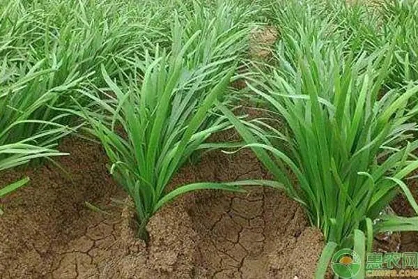 �r��N�²����ļ�������ɶҪ������ι������^��?