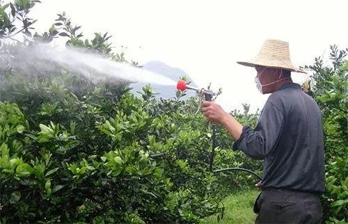 ��ʩ�~����кκ�̎��