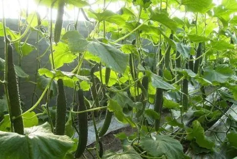 ��β���ʹ�S�ϲ�����