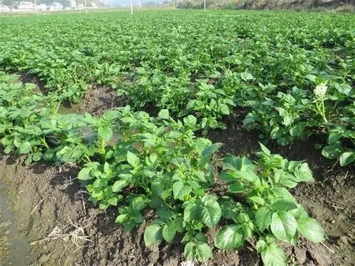 �R����~��ʵć�ʩ�r�g�͇�ʩ������ʲô��