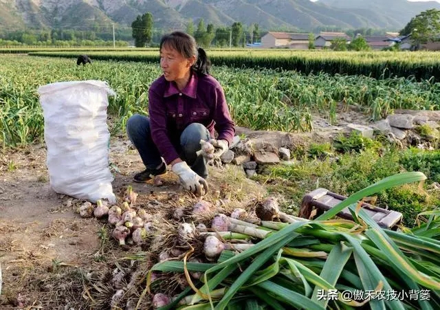 ����׷�ʑ�(y��ng)ʲô�r(sh��)��׷������νo����׷����