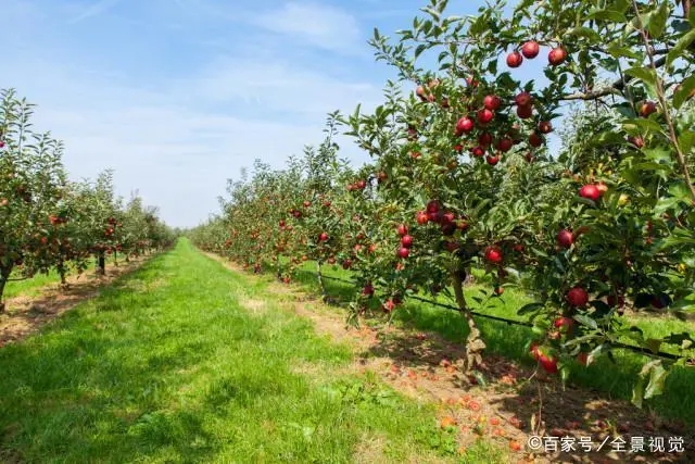 �������ʹ�Û_ʩ��������Щ�`�^(q��)��